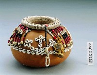 藏品(帝汶島葫蘆貝飾)的圖片